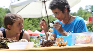 Pilz-Expertinnen bei der Pilz-Bestimmung