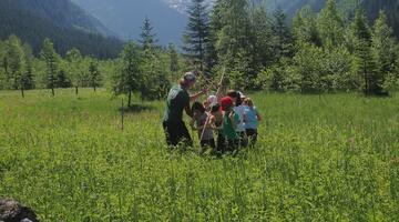 Kindergruppe beim Erforschen einer Feuchtwiese