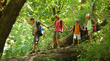 © Hurst Photo/shutterstock.com Kinder im Wald