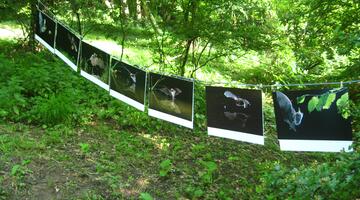 Umweltbildung im Fledermausgarten