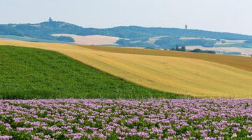 Naturparkregion Leiser Berge