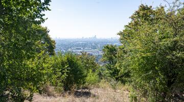 Blick vom Bisamberg Richtung Wien