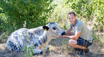 Markus Breyer bei den Stieren auf der Weide