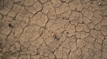 Trockenheit