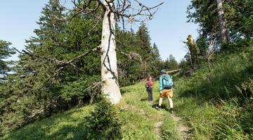 Wildniswandern für Frauen (2 Tage)