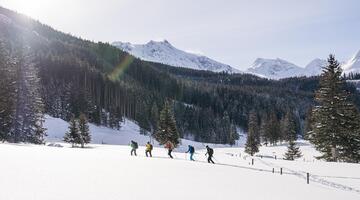 Winterlicher Urwald, Rauris