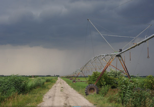 Seewinkel zwischen Landwirtschaft und Naturschutz