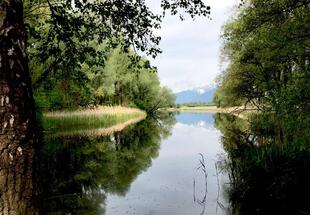 Inn Seitenarme Naturschutzgebiet