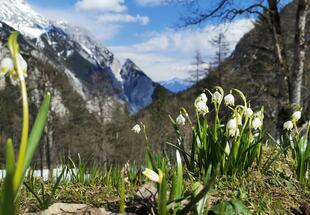 Issanger Halltal