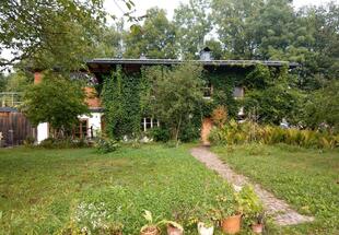 Naturnaher Garten
