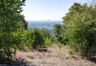 Blick vom Bisamberg Richtung Wien