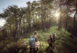 UNESCO-Welterbe Tour: Durchs Hintergebirge
