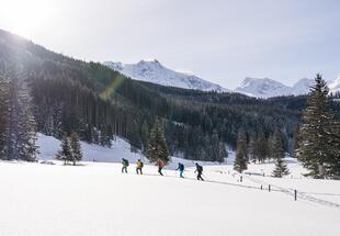 Winterlicher Urwald, Rauris